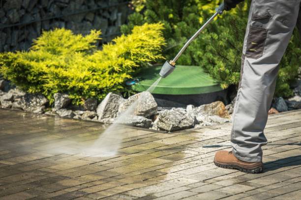 Best Dumpster Area Cleaning  in St Leo, FL