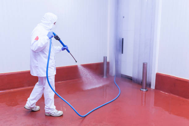 Best Post-Construction Pressure Washing  in St Leo, FL