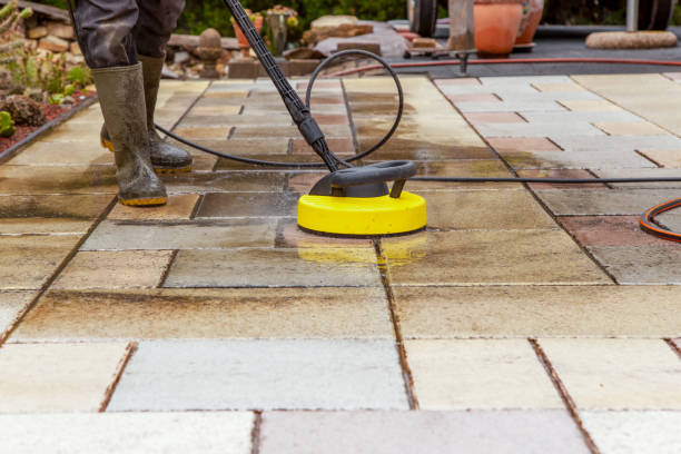 Best Spring Cleaning  in St Leo, FL