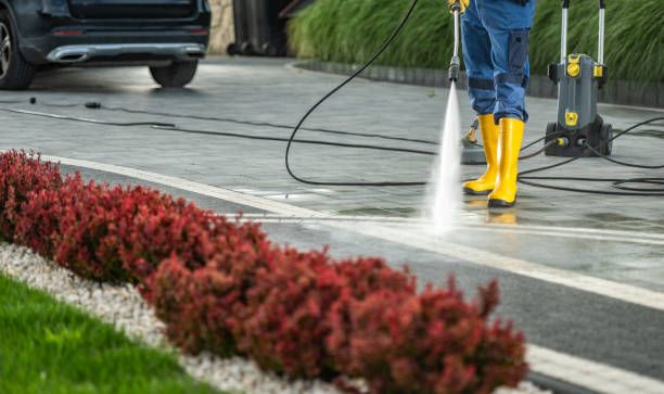Best House Exterior Washing  in St Leo, FL