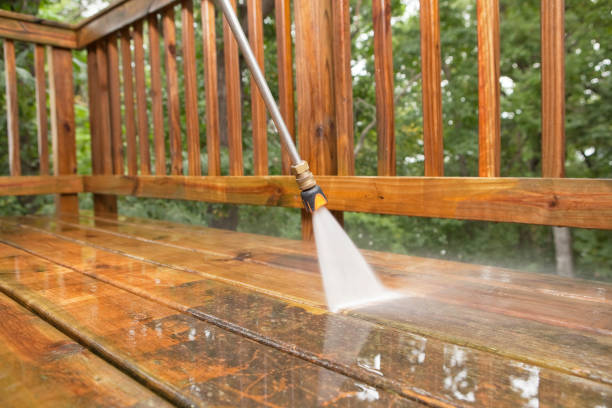 Best Warehouse Cleaning  in St Leo, FL