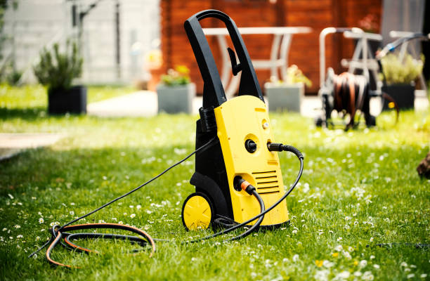 Best Roof Washing  in St Leo, FL